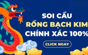 bảng thống kê kết quả dùng để phân tích soi cầu rồng bạch kim